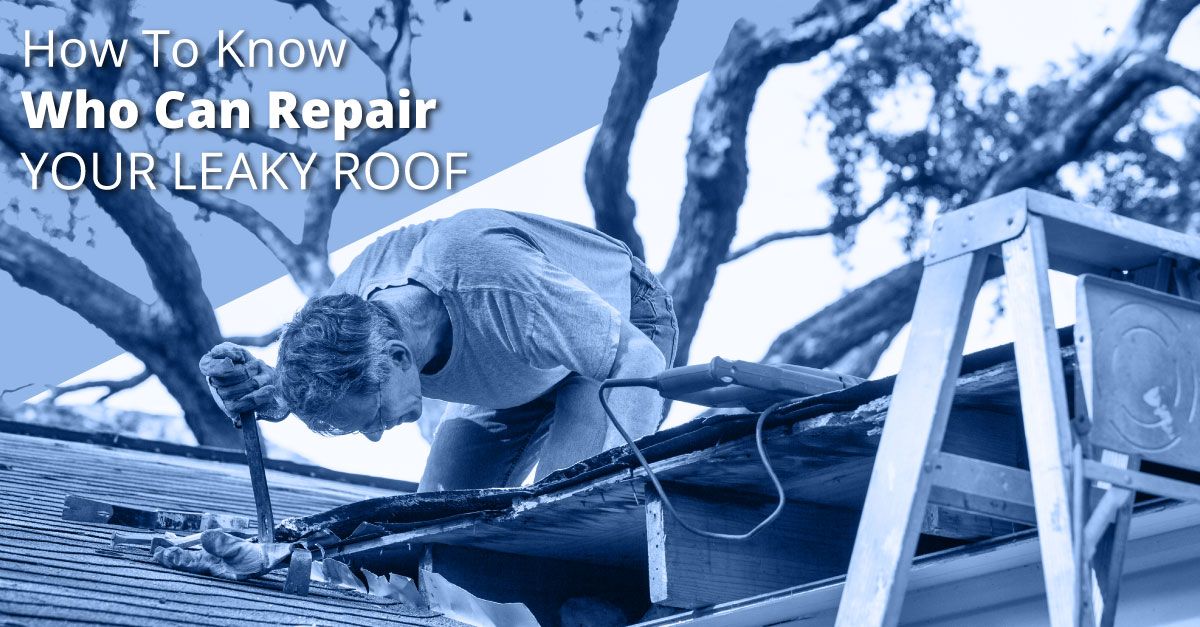 Who Can Repair Your Leaky Roof? Roof Repair Specialist