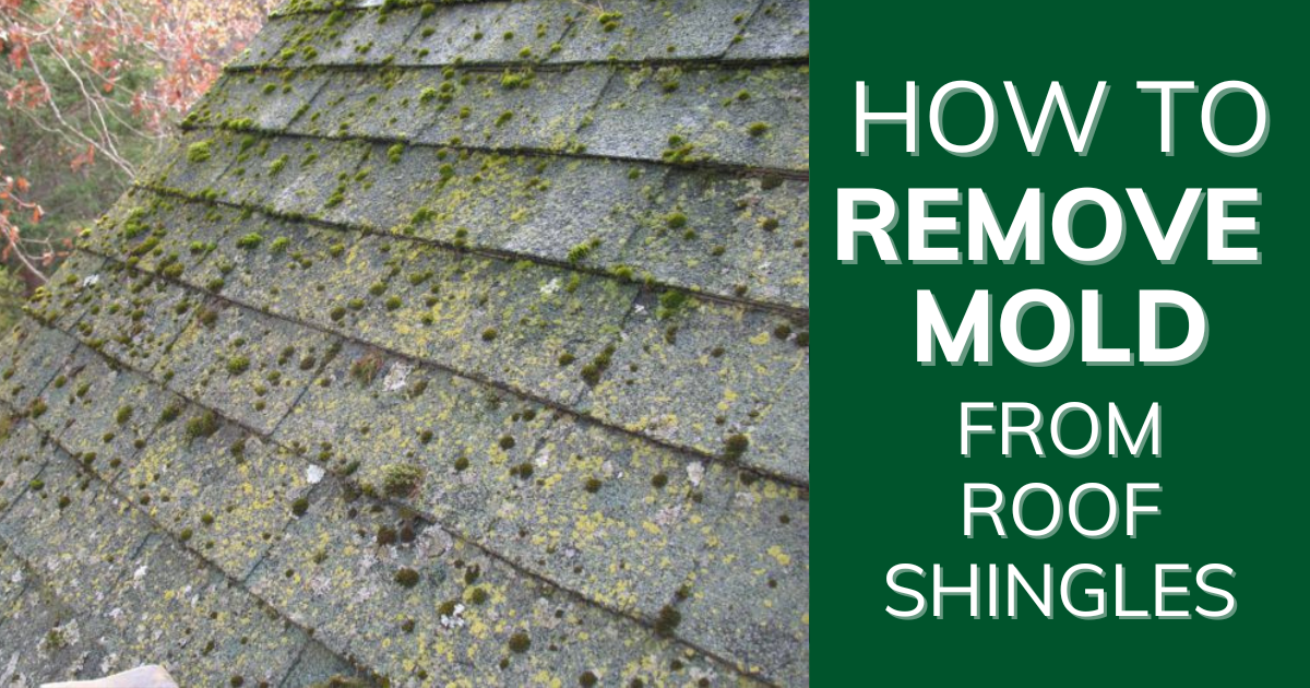 How to Clean Mold off Roof Shingles: Easy and Effective Tips